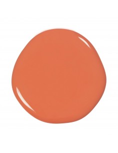 Gel Color 1007 Alghero