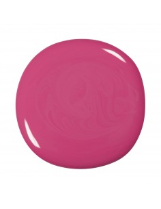 Gel Color 1008 Ginevra