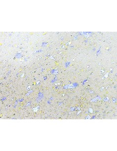 Shiny Flake Holo 15ml 2