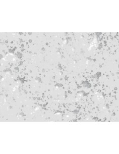 Shiny Flake Silver 15ml 2