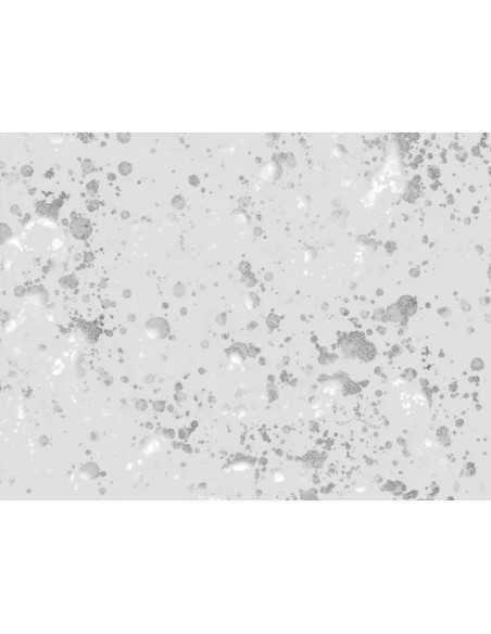 Shiny Flake Silver 15ml