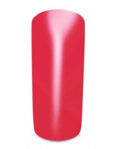 Gel Color 66 Saragozza 2
