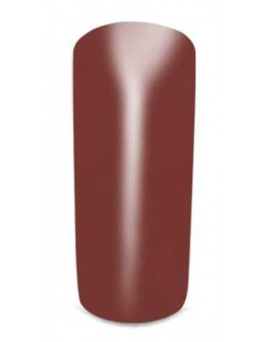 Gel Color 8 Mumbai