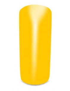 Gel Color 91 Pechino 2