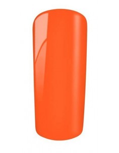Gel Color 95 Tolosa 2