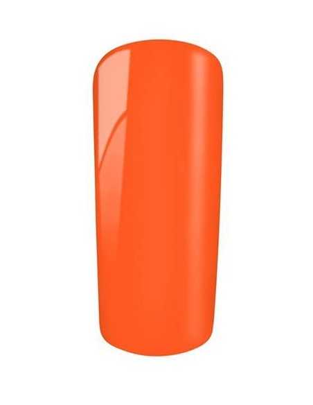 Gel Color 95 Tolosa