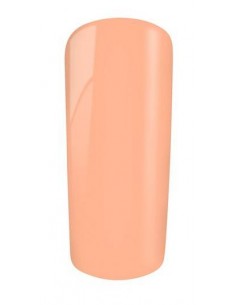 Gel Color 97 Nottingham 2