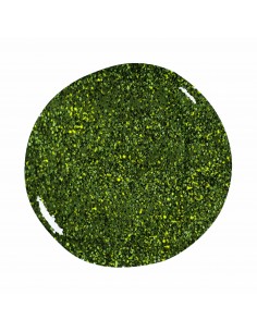 Gel Glitter Color 118 Atene
