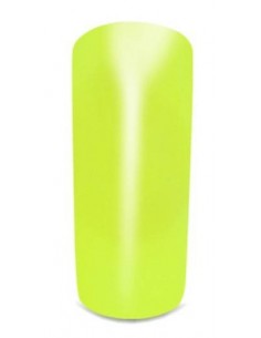 Dance Gel Color 500 Hollywood 2