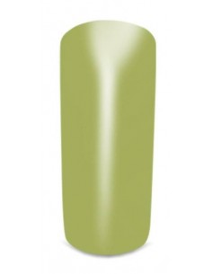 Permanent Fix 8 Flore