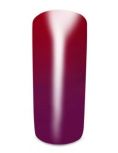 Thermo Gel Color 404° Austria 2
