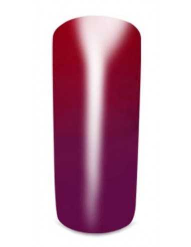 Thermo Gel Color 404° Austria