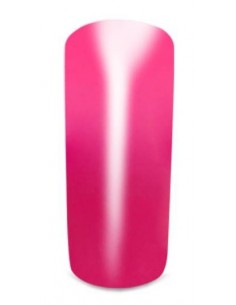 Thermo Gel Color 410° Singapore 2