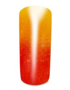 Thermo Gel Color 415° Nederland 2