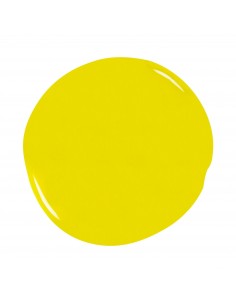 Gel Color 1005 Lubiana