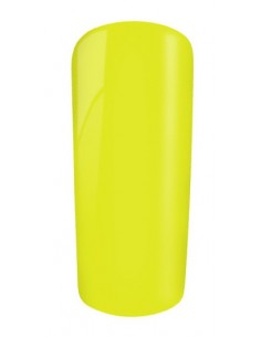 Gel Color 1005 Lubiana 2
