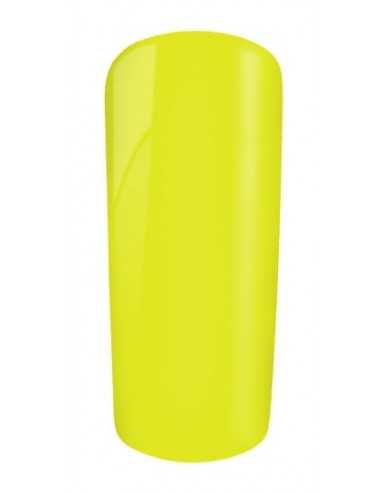 Gel Color 1005 Lubiana
