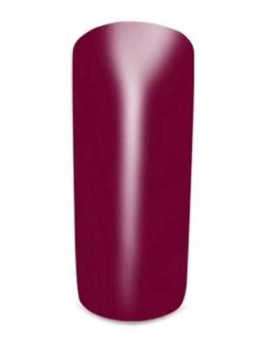 Gel Color 11 Caracas