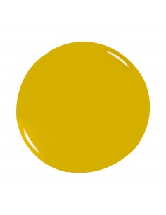 Gel Color 12 Rio