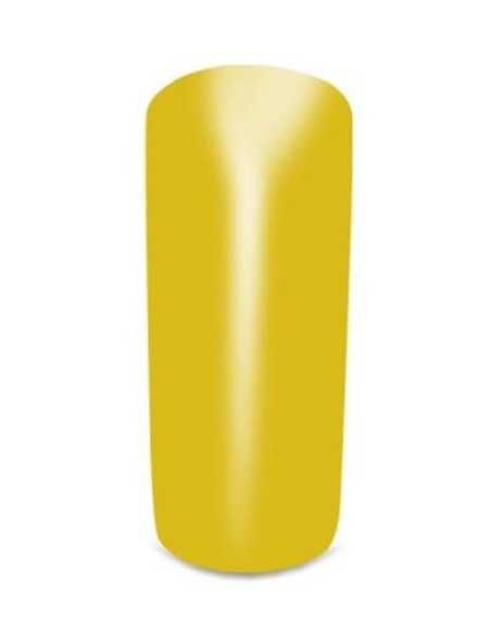 Gel Color 12 Rio